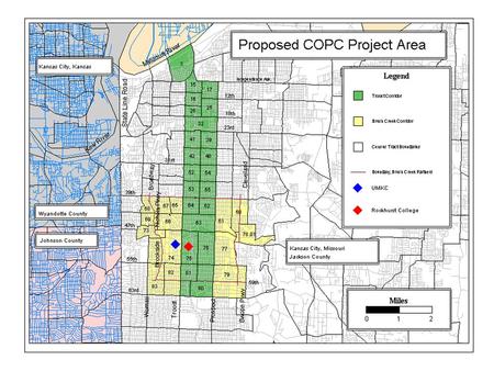 MSA/County/Place/Tract Levels Neighborhood Level Typical mapping applications: neighborhoods are “low-level” geography.