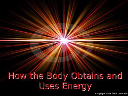 How the Body Obtains and Uses Energy