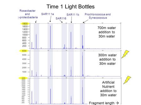 700m water addition to 30m water 1800 1600 1400 1200 1000 800 600 400 200 6000 5000 4000 3000 2000 1000 2800 2600 2400 2200 2000 1800 1600 1400 1200 1000.