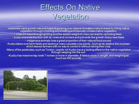 Effects On Native Vegetation