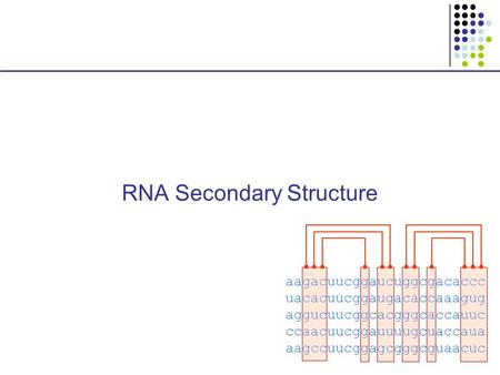 RNA Secondary Structure aagacuucggaucuggcgacaccc uacacuucggaugacaccaaagug aggucuucggcacgggcaccauuc ccaacuucggauuuugcuaccaua aagccuucggagcgggcguaacuc.