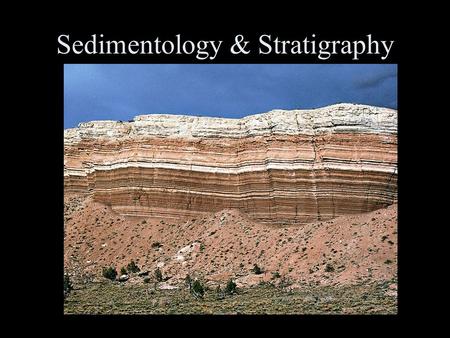 Sedimentology & Stratigraphy