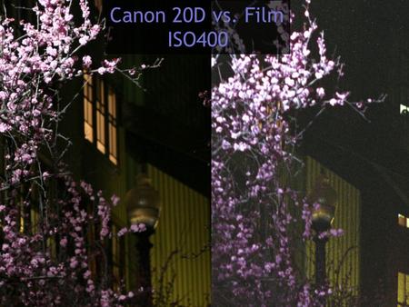 Canon 20D vs. Film ISO400. Canon 20D vs. Film ISO1600.