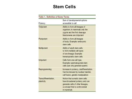 Stem Cells. Hochedlinger, K. & Jaenisch, R. N Engl J Med 2003; 349:275-286 Comparison of Normal Development, Reproductive Cloning & Therapeutic Cloning.