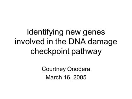 Identifying new genes involved in the DNA damage checkpoint pathway Courtney Onodera March 16, 2005.