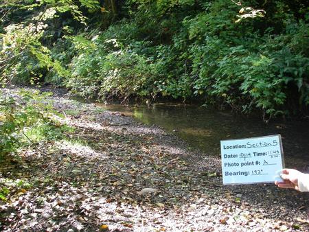 Location Coal Creek upstream of Coal Creek Parkway Photo Point 5A Camera Point 5 Bearing 192 ° Goal Monitor log movement Duration 5 years Regime 2 times.