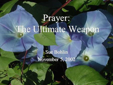 Sue Bohlin November 5, 2002. …With all prayer and petition pray at all times in the Spirit, and with this in view, be on the alert with all perseverance.