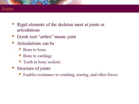 Joints Rigid elements of the skeleton meet at joints or articulations