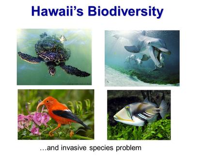 Hawaii’s Biodiversity …and invasive species problem.