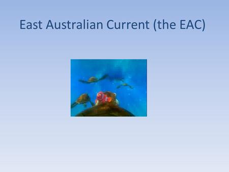 East Australian Current (the EAC). Where is it? EAC Properties Warm, deep, fast, nutrient poor water 100 km wide by 500km deep 30 million m 3 /s transport!