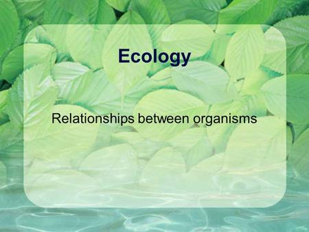 Ecology Relationships between organisms. Bell Ringer In your journals… Write about some of your relationships with other people in your life. Are they.