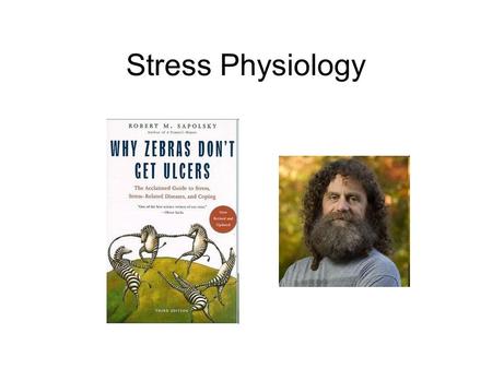 Stress Physiology. Adrenocorticotropic Hormone Corticotropin Releasing Hormone Glucocorticoid = Stress Hormone Hypothalamic-Pituitary-Adrenal AXIS.