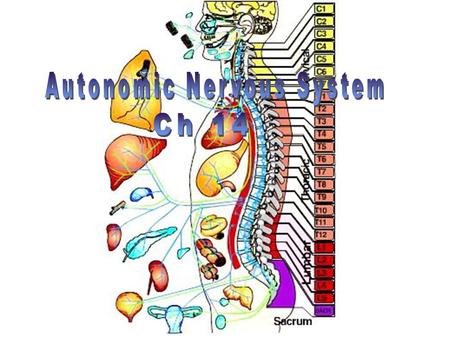 Figure 15.1 The ANS and Visceral Sensory Neurons.