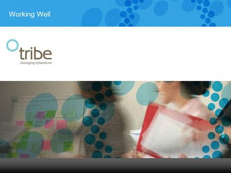 Working Well. 2 The Tribe 3 We like to work like this: have fun, be professional, be supportive, be positive, be encouraging, be egalitarian, be inspiring,