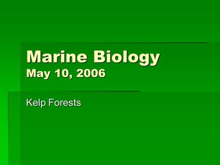 Marine Biology May 10, 2006 Kelp Forests. Phylum Chlorophyta: green algae  Chlorphylls are the main photopigments.