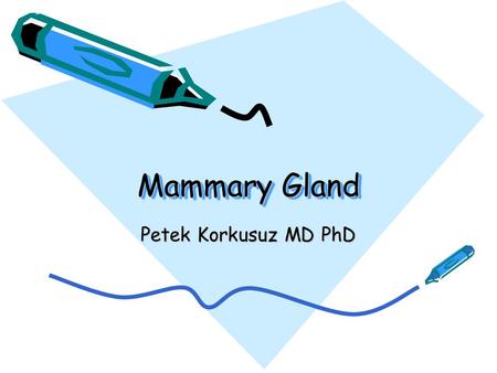 Mammary Gland Petek Korkusuz MD PhD.