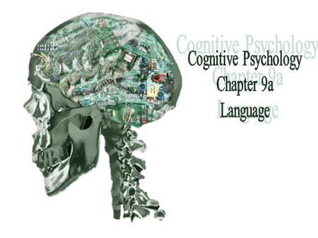 Study Questions. How has sentence ambiguity been used to study the psycholinguistics of grammar. Describe the classical localization model of brain and.