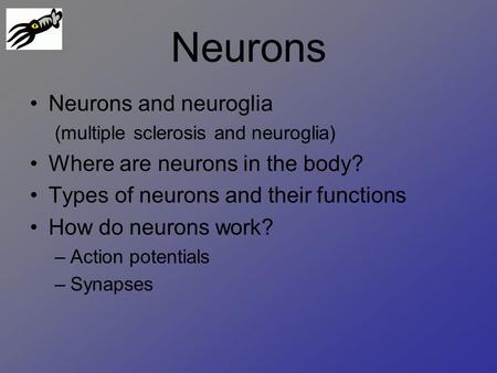 Neurons Neurons and neuroglia (multiple sclerosis and neuroglia) Where are neurons in the body? Types of neurons and their functions How do neurons work?