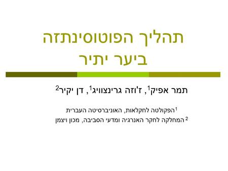 תהליך הפוטוסינתזה ביער יתיר תמר אפיק 1, ז ' וזה גרינצוויג 1, דן יקיר 2 1 הפקולטה לחקלאות, האוניברסיטה העברית 2 המחלקה לחקר האנרגיה ומדעי הסביבה, מכון ויצמן.