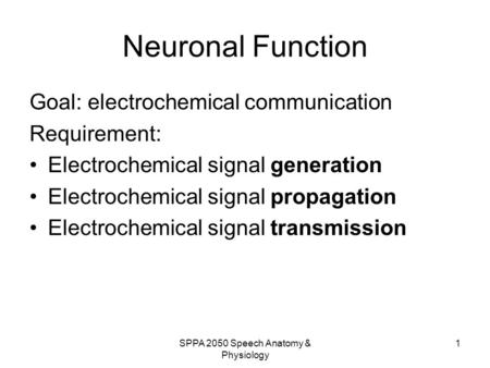 SPPA 2050 Speech Anatomy & Physiology 1 Neuronal Function Goal: electrochemical communication Requirement: Electrochemical signal generation Electrochemical.