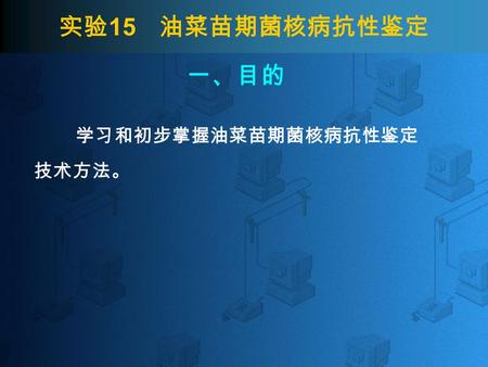 实验 15 油菜苗期菌核病抗性鉴定 学习和初步掌握油菜苗期菌核病抗性鉴定 技术方法。 一、目的. 实验 15 油菜苗期菌核病抗性鉴定 实验室苗期菌丝接种鉴定法方法简单易行， 鉴定周期短，不受自然环境影响，适于对大量材 料的筛选。 另据初步研究，苗期菌丝接种鉴定表现抗菌 材料，在花期仍表现抗病。 在本实验中只学习和掌握苗期菌丝块接种鉴.