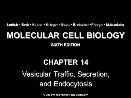 MOLECULAR CELL BIOLOGY SIXTH EDITION MOLECULAR CELL BIOLOGY SIXTH EDITION Copyright 2008 © W. H. Freeman and Company CHAPTER 14 Vesicular Traffic, Secretion,