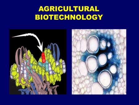 AGRICULTURAL BIOTECHNOLOGY