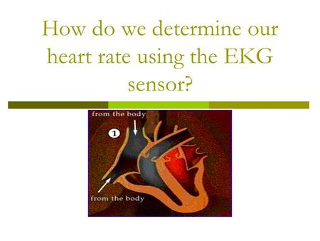 How do we determine our heart rate using the EKG sensor?