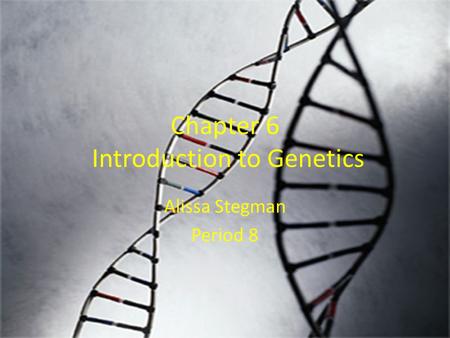 Chapter 6 Introduction to Genetics Alissa Stegman Period 8.