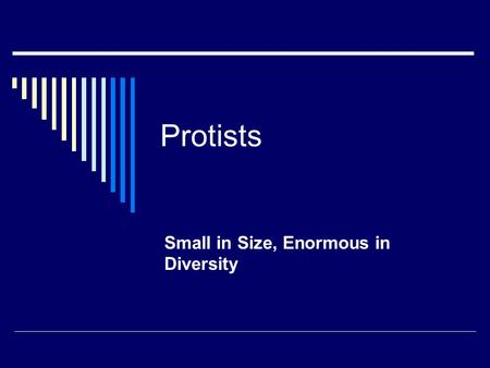 Protists Small in Size, Enormous in Diversity. Taxonomy Review  What are the different groups a species is classified into?  Kingdom  Phylum  Class.