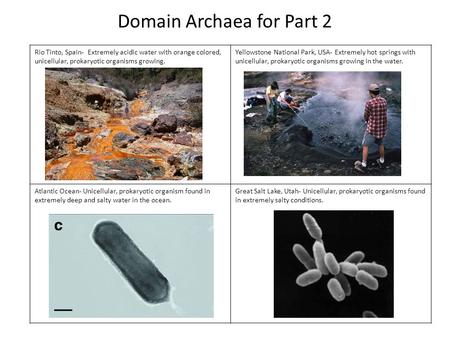 Domain Archaea for Part 2 Rio Tinto, Spain- Extremely acidic water with orange colored, unicellular, prokaryotic organisms growing. Yellowstone National.