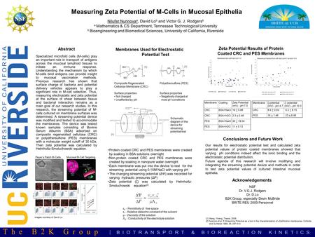 Measuring Zeta Potential of M-Cells in Mucosal Epithelia Abstract Specialized microfold cells (M-cells) play an important role in transport of antigens.