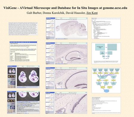 VisiGene - AVirtual Microscope and Database for In Situ Images at genome.ucsc.edu Galt Barber, Donna Karolchik, David Haussler, Jim Kent VisiGene displays.