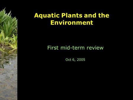 Aquatic Plants and the Environment First mid-term review Oct 6, 2005.