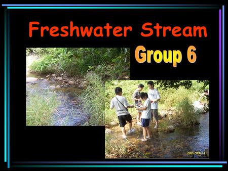 Freshwater Stream. Introduction Date : 14/9/2005 Site location : Chuen Lung Time : 1:00 p.m to 3:00 p.m Weather condition : Sunny and Dry Water transparency.