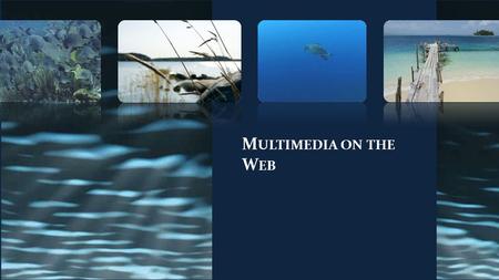 M ULTIMEDIA ON THE W EB. Multimedia Purpose of Multimedia Multimedia Issues Animation Digital Audio fundamentals Browser Plug-ins Java Applets.