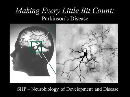 Making Every Little Bit Count: Parkinson’s Disease SHP – Neurobiology of Development and Disease.