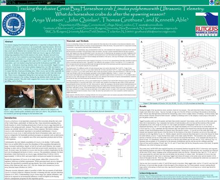 Abstract For reasons ranging from biomedical applications to important ecological links, the horseshoe crab Limulus polyphemus is an exceptionally important.