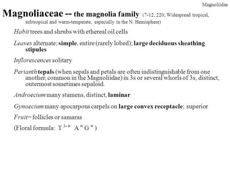 Habit trees and shrubs with ethereal oil cells Leaves alternate; simple, entire (rarely lobed); large deciduous sheathing stipules Inflorescences solitary.