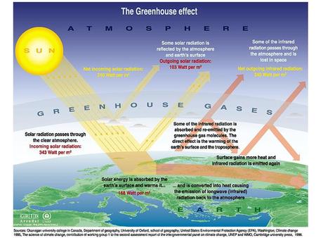 2. Land-Use Change (primarily tropical deforestation) 1. Burning of fossil fuels  How Are We Increasing the CO 2 Concentration?