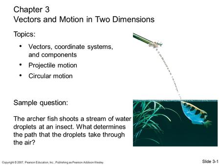 Vectors and Motion in Two Dimensions