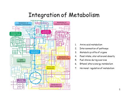 Integration of Metabolism