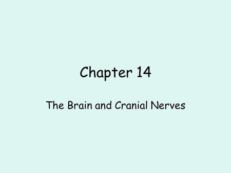 The Brain and Cranial Nerves