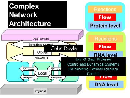 Local Error/flow control Relay/MUX Global E/F control Relay/MUX Physical Application E/F control Relay/MUX Complex Network Architecture Flow Reactions.