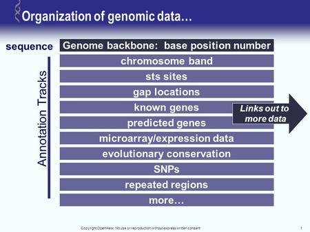 Copyright OpenHelix. No use or reproduction without express written consent1 Organization of genomic data… Genome backbone: base position number sequence.