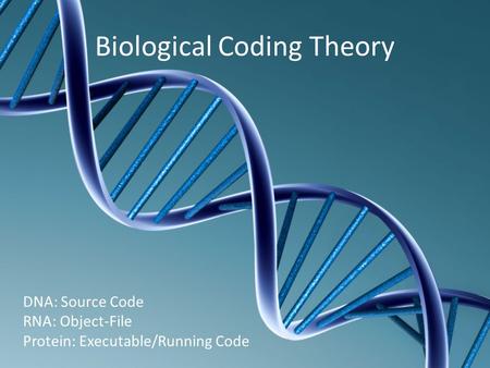 Biological Coding Theory DNA: Source Code RNA: Object-File Protein: Executable/Running Code.