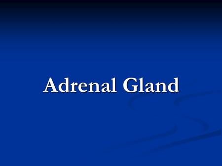 Adrenal Gland.