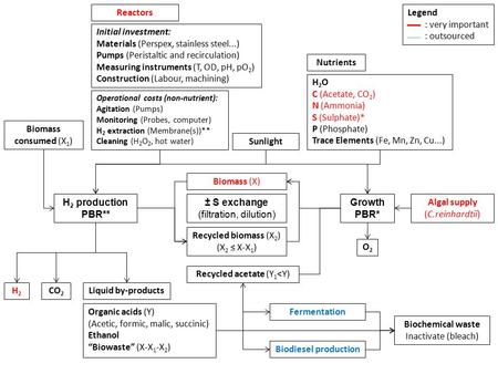 Growth PBR* H 2 production PBR** Algal supply (C.reinhardtii) Sunlight Reactors Nutrients H 2 O C (Acetate, CO 2 ) N (Ammonia) S (Sulphate)* P (Phosphate)