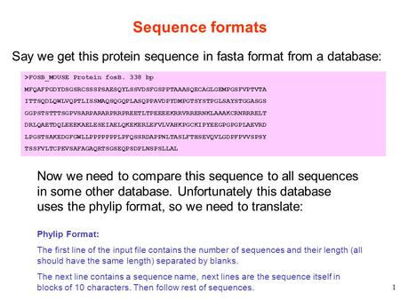 1 Sequence formats >FOSB_MOUSE Protein fosB. 338 bp MFQAFPGDYDSGSRCSSSPSAESQYLSSVDSFGSPPTAAASQECAGLGEMPGSFVPTVTA ITTSQDLQWLVQPTLISSMAQSQGQPLASQPPAVDPYDMPGTSYSTPGLSAYSTGGASGS.