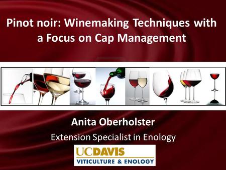 Anita Oberholster Extension Specialist in Enology Pinot noir: Winemaking Techniques with a Focus on Cap Management.